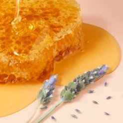 Nuxe Rêve De Miel Honey Lip Gloss 10ml 0.34fl.oz -Nude Rich Sales LySkin Nuxe reve de miel honey lip gloss 10m 0.34fl.oz NUX00204 6