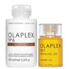 Olaplex Iconic Styling Duo Nº6 Bond Smoother And Nº7 Bonding Oil
